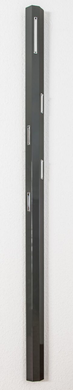 Schlankes, modernes Garderobenpaneel in dunkler Farbe mit mehreren Haken, seitliche Perspektive.