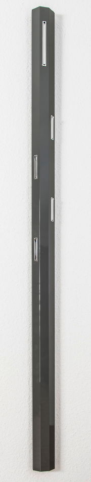 Schlankes, modernes Garderobenpaneel in dunkler Farbe mit mehreren Haken, seitliche Perspektive.