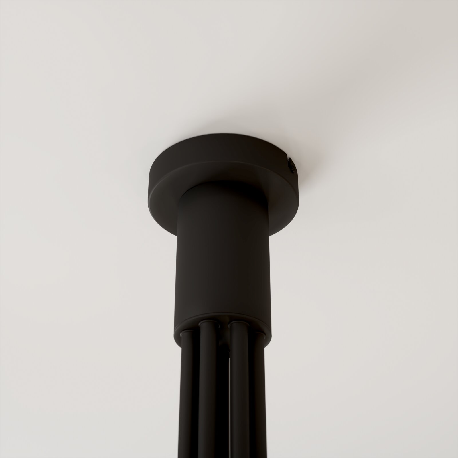 Zwarte, cilindervormige plafondlamp met ronde plafondrozet, close-up vanuit de onderkant (van onder naar boven gezien)