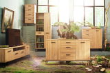 Wohnzimmermöbel aus Holz in natürlicher Umgebung mit TV-Lowboard, Sideboard und Schrank, aus der Perspektive von vorne betrachtet.