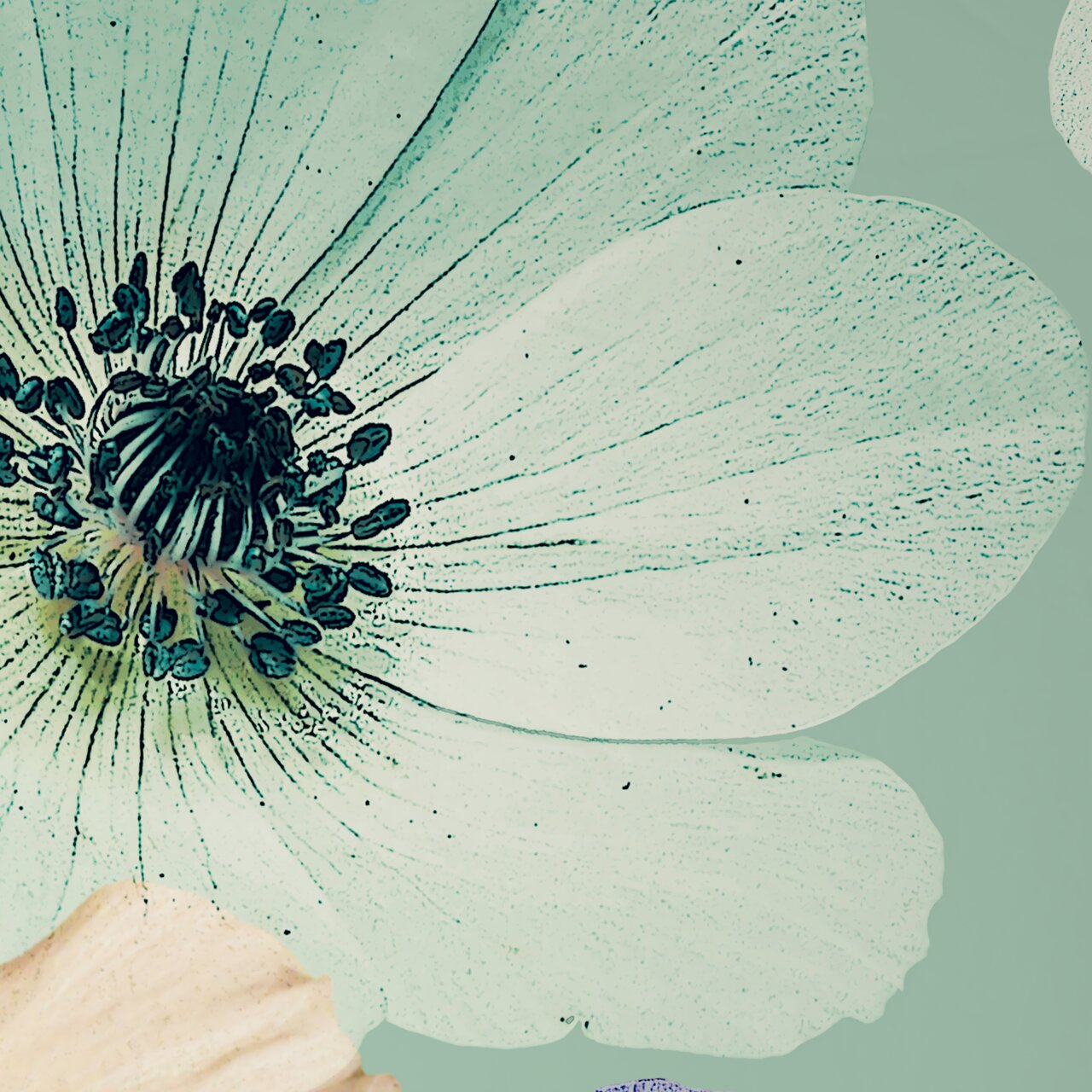 Nahaufnahme einer blassgrünen Blume mit detaillierten Blütenblättern und einem dunklen Zentrum auf einem Bettwäsche-Design.