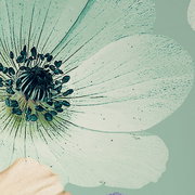 Nahaufnahme einer blassgrünen Blume mit detaillierten Blütenblättern und einem dunklen Zentrum auf einem Bettwäsche-Design.