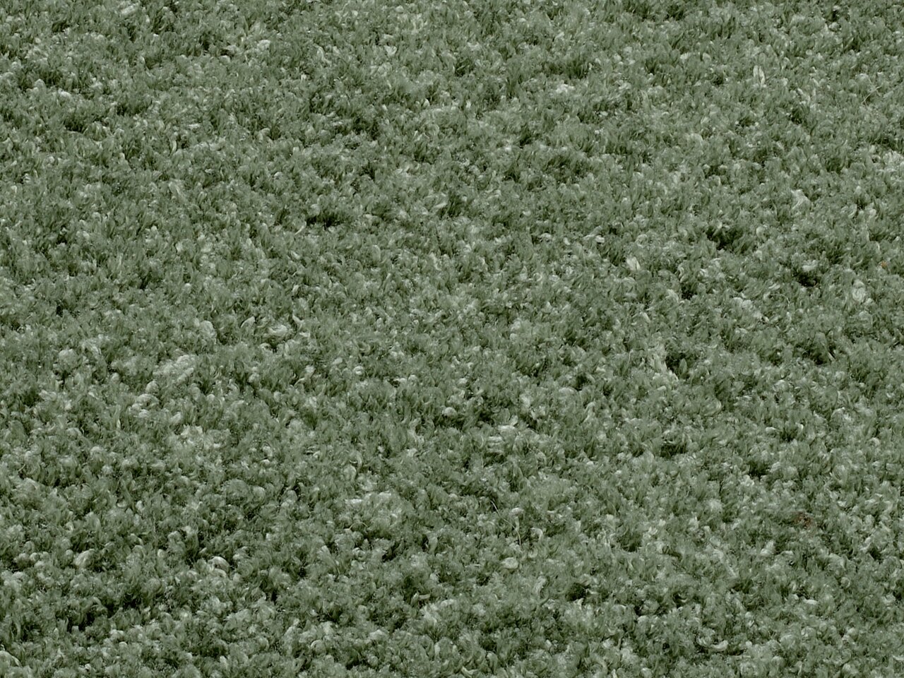 Nahaufnahme eines weichen, grünen Teppichs mit flauschiger Textur, Draufsicht