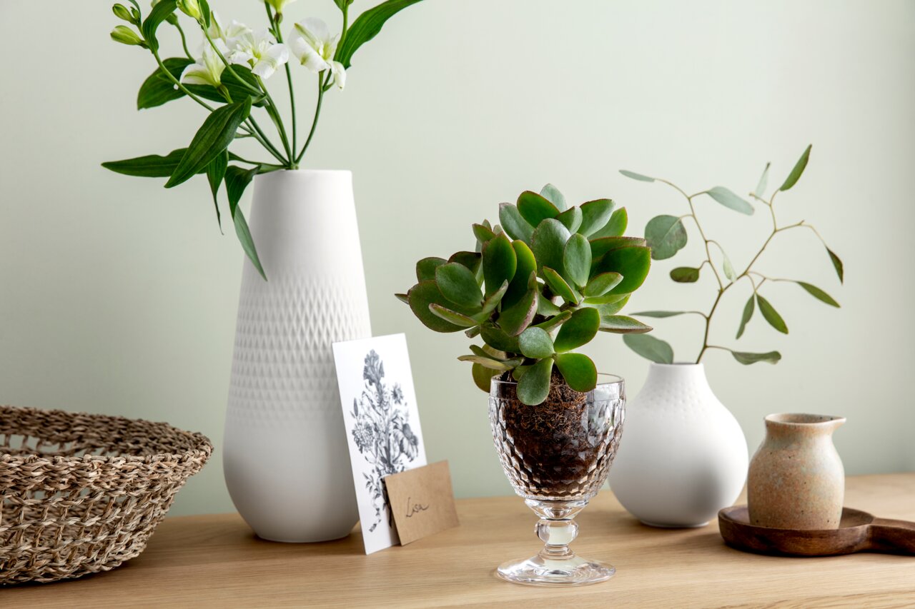 Rotweinglas Boston von Villeroy & Boch mit Sukkulente, seitliche Perspektive