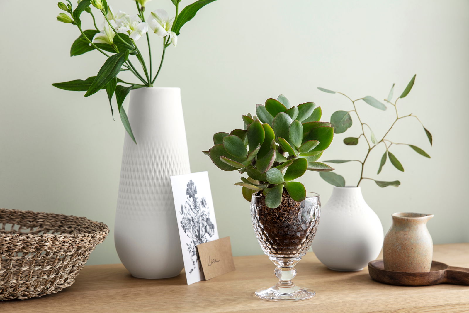 Rotweinglas Boston von Villeroy & Boch mit Sukkulente, seitliche Perspektive