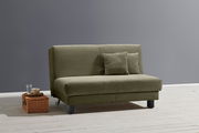 Grünes Funktionssofa mit zwei Kissen, seitliche Perspektive
