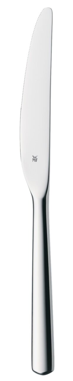 Elegantes Menuemesser mono BOSTON aus Edelstahl, seitliche Ansicht