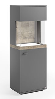 Moderne Vitrine in Grau mit Holzdetails, Frontansicht