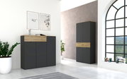 Moderne Garderobenmöbel in Graphit mit Holzdetails, bestehend aus einem niedrigen und einem hohen Schrank, in einem hellen Raum mit großen Fenstern, Pflanzen und Wanddekorationen. Perspektive von vorne links.