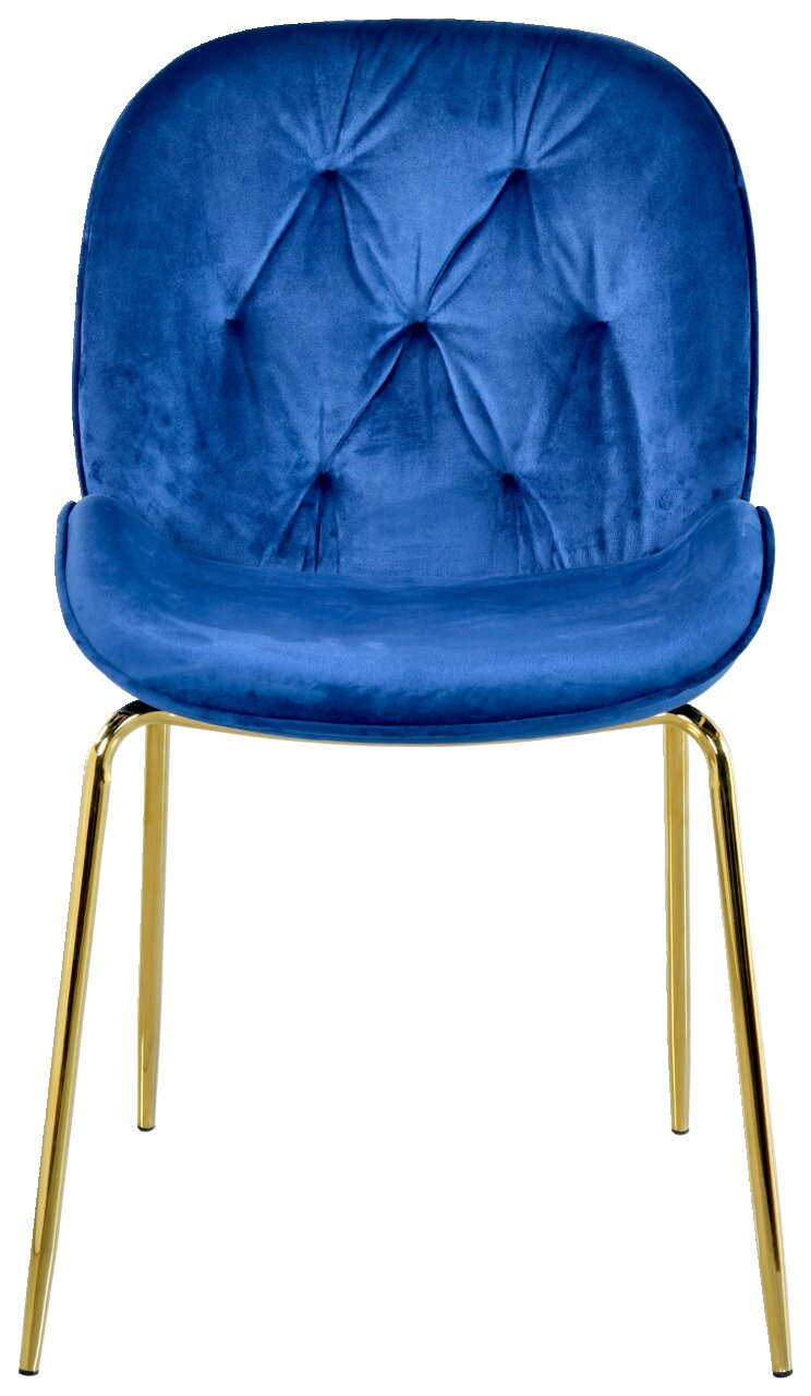 Blauer Samtstuhl mit goldenen Beinen, Frontalansicht