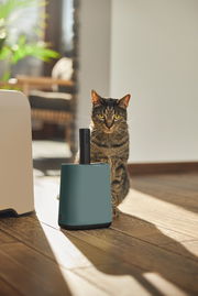 Katzenstreu Reinigungsset in modernem Design, im Vordergrund mit einer Katze im Hintergrund, seitliche Perspektive