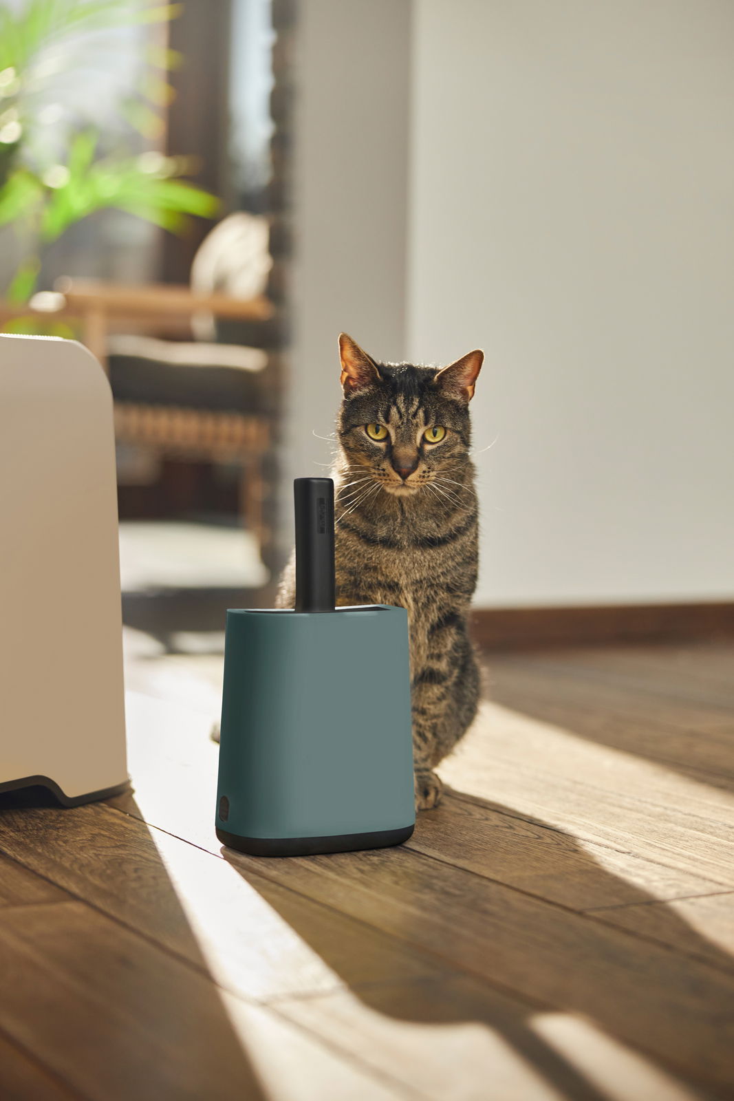 Katzenstreu Reinigungsset in modernem Design, im Vordergrund mit einer Katze im Hintergrund, seitliche Perspektive