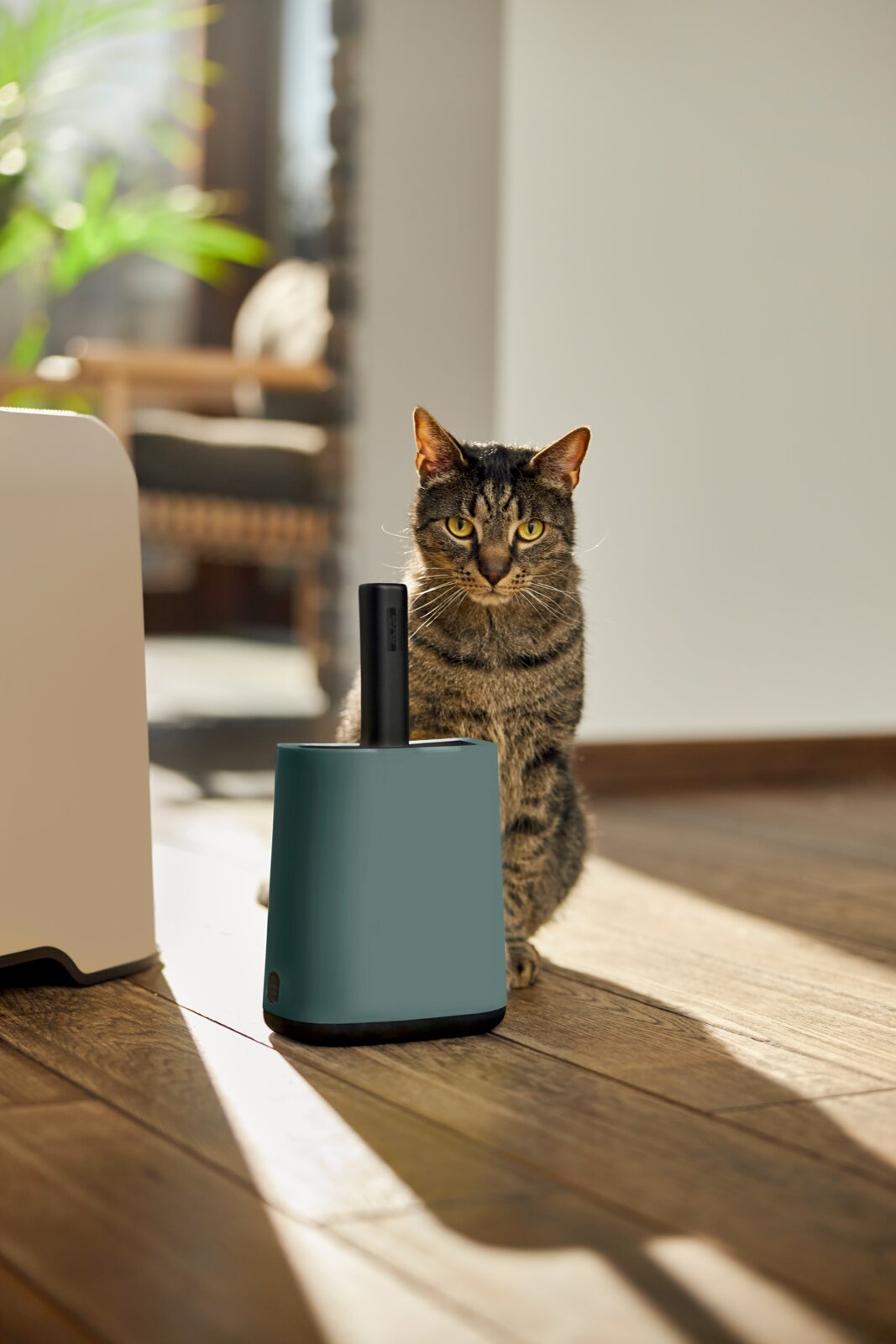 Reinigingsset voor kattenbakvulling in een modern ontwerp, met een kat op de voorgrond en op de achtergrond, vanuit een zijaanzicht