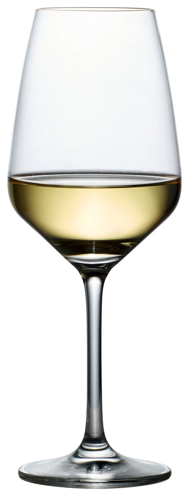 Weinglas Tulip, seitliche Ansicht, gefüllt mit Weißwein