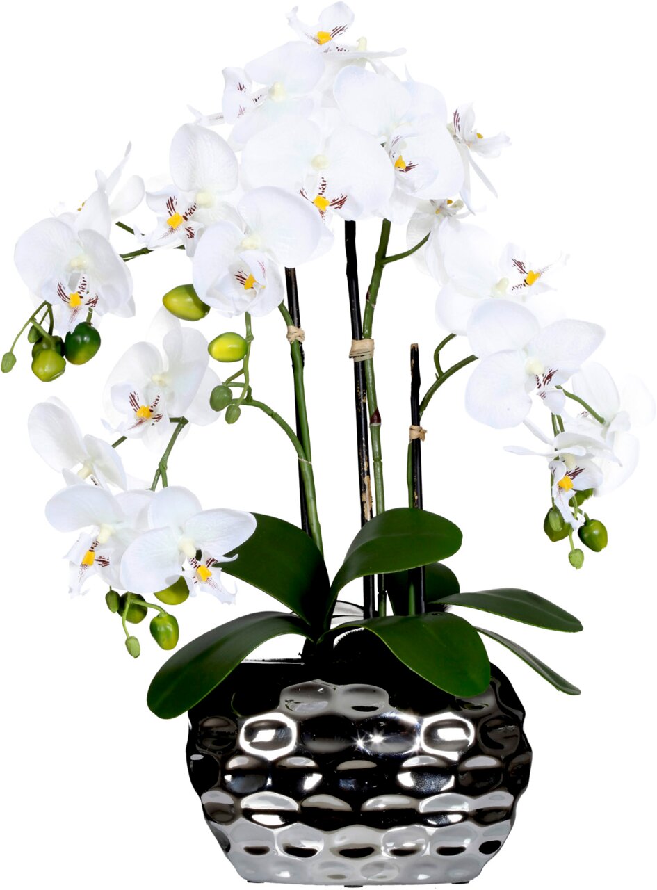 CREATIV green Künstliche Orchidee in Ovalvas 59,5cm CREATIV GREEN Weiße Phalaenopsis-Orchidee mit mehreren Blüten und grünen Knospen in glänzend schwarzem, strukturiertem Keramiktopf, frontal aus leicht erhöhter Perspektive freigestellt auf weißem Hintergrund