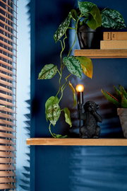 Tischleuchte in Form eines Affen, der eine Glühbirne hält, auf einem Regal mit Pflanzen und Büchern, seitliche Perspektive