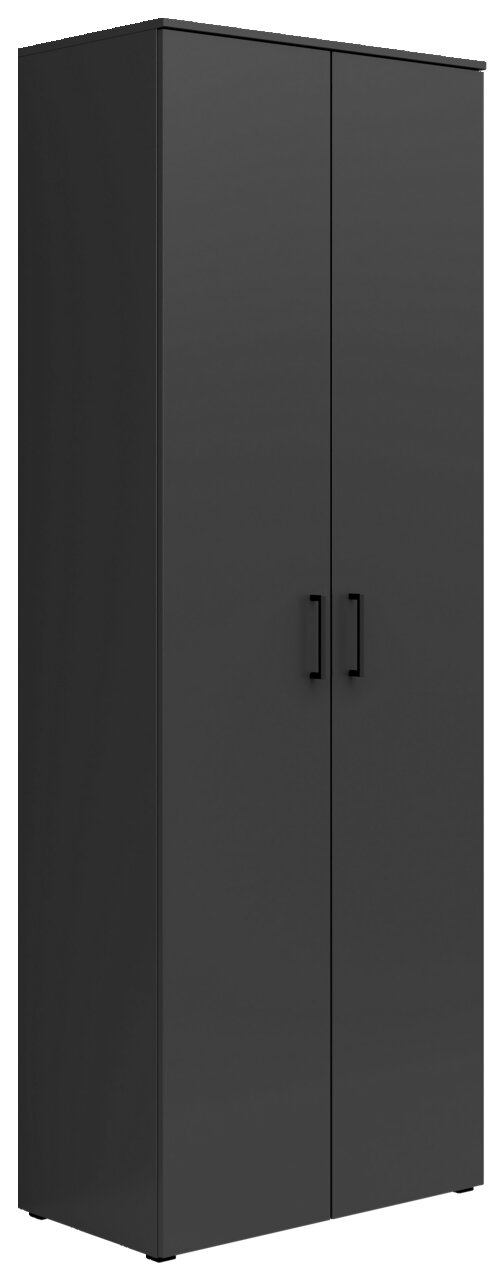 Carryhome Mehrzweckschrank MULTISTAURAUM Schwarzer Mehrzweckschrank mit zwei Türen, frontale Perspektive