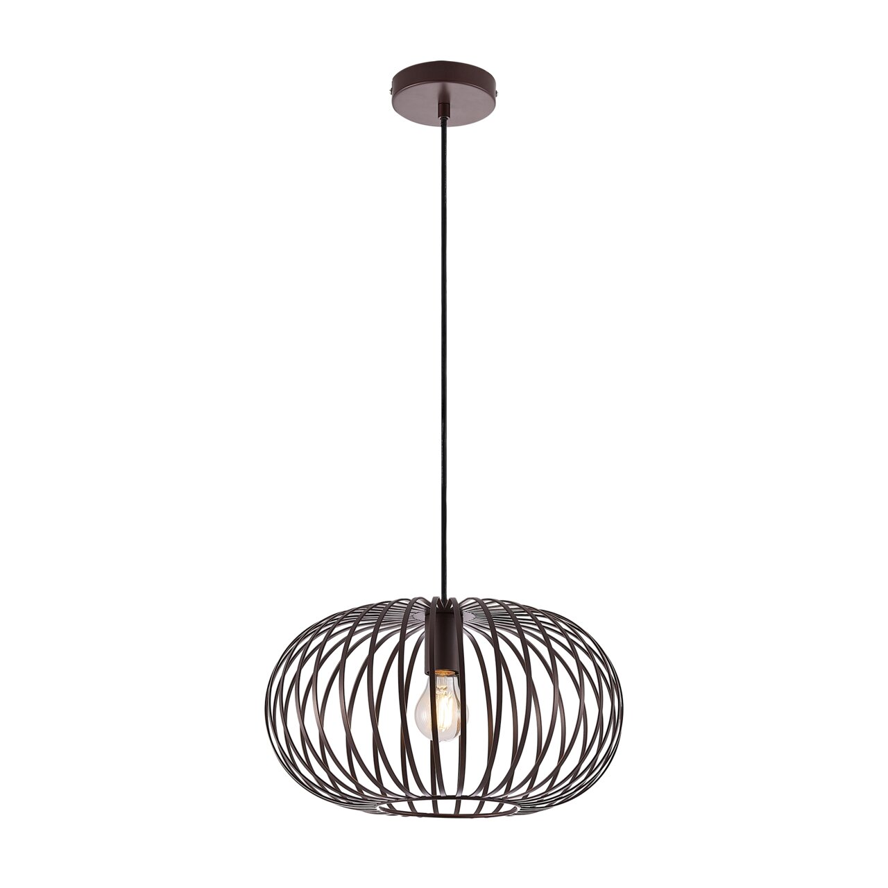 Novel Hanglamp FILTON Moderne hanglamp met een zwarte, draadachtige lampenkap en zichtbare gloeilamp, zijaanzicht