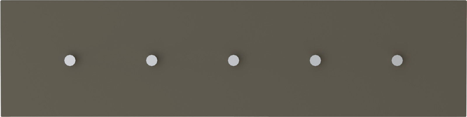 Hakenleiste mit fünf Haken, frontal betrachtet