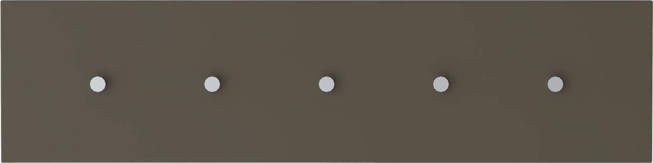 Moderano Hakenleiste LECCO Hakenleiste mit fünf Haken, frontal betrachtet