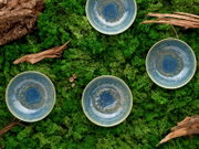 Vier glasierte Keramikschalen in Blau-Grün mit reaktiver Glasur auf moosigem Untergrund mit Holzstücken, Draufsicht (Top-Down).