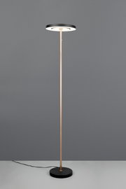 Moderne staande vloerlamp met slanke messingkleurige staander, ronde zwarte voet en ronde LED-lampkop, gefotografeerd van voren op ooghoogte tegen een grijze achtergrond