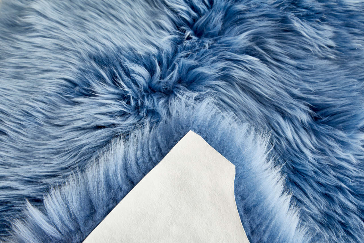 Nahaufnahme eines blauen Schaffells mit weicher, flauschiger Textur, von oben betrachtet.