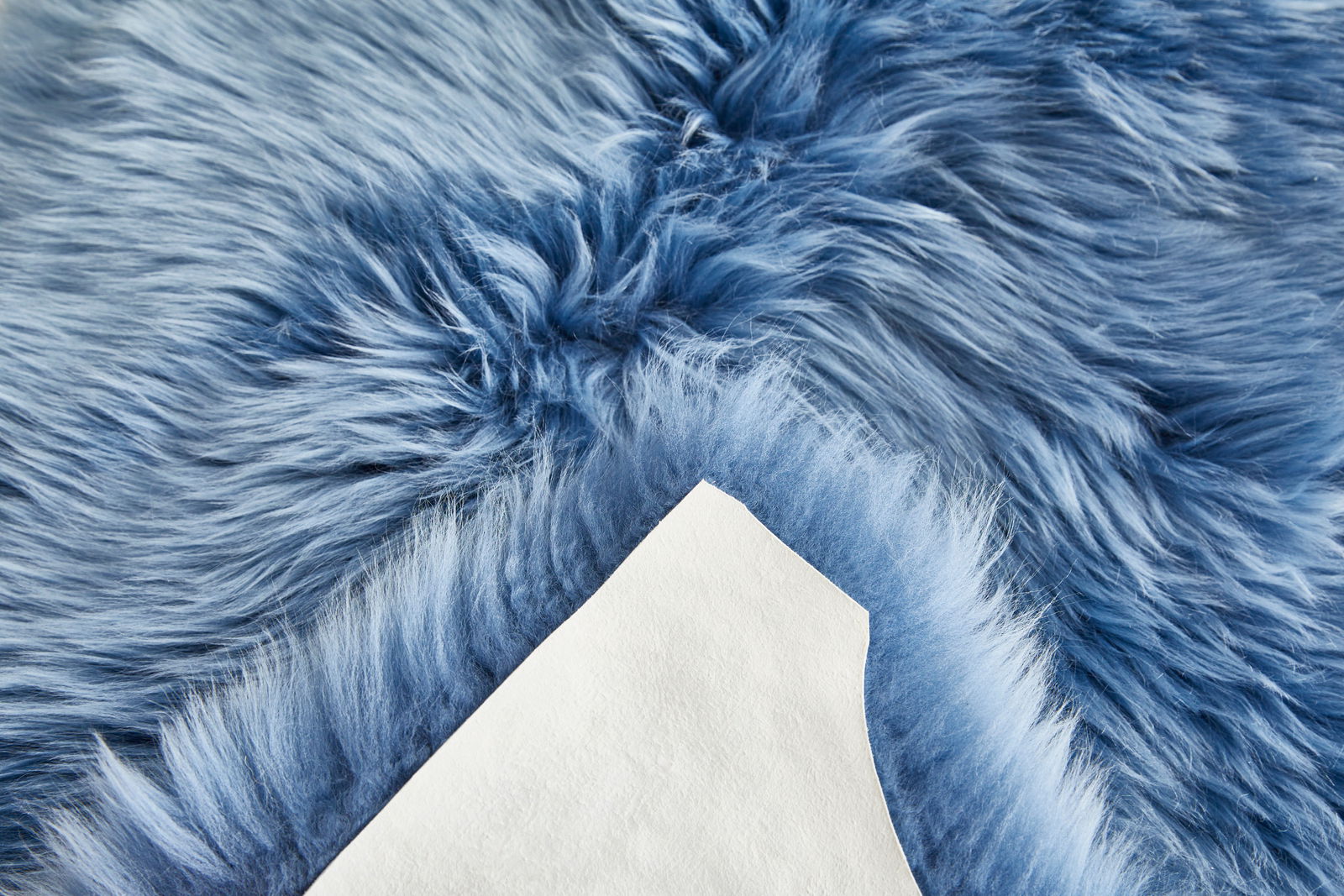 Nahaufnahme eines blauen Schaffells mit weicher, flauschiger Textur, von oben betrachtet.