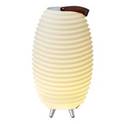 Een lamp en luidspreker op batterijen in één, met geribbeld ontwerp en leren handvat, zijaanzicht.