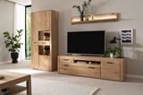 Moderne Wandkombination aus Holz in einem Wohnzimmer, bestehend aus einem hohen Schrank mit Glaselementen und einem TV-Board, dekoriert mit Pflanzen und Kunstobjekten. Perspektive: Frontalansicht.