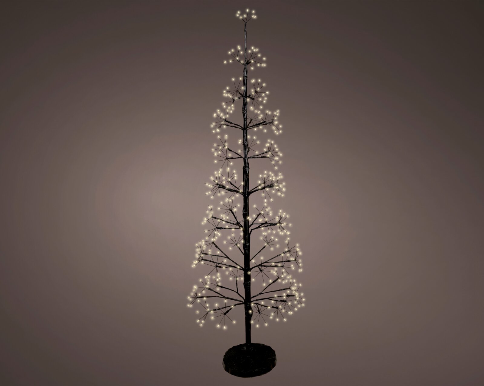 Vrijstaand verlichte decoratieboom met zwarte stam, fijne takken en warmwitte ledlampjes, volledig afgebeeld vanuit recht vooraanzicht