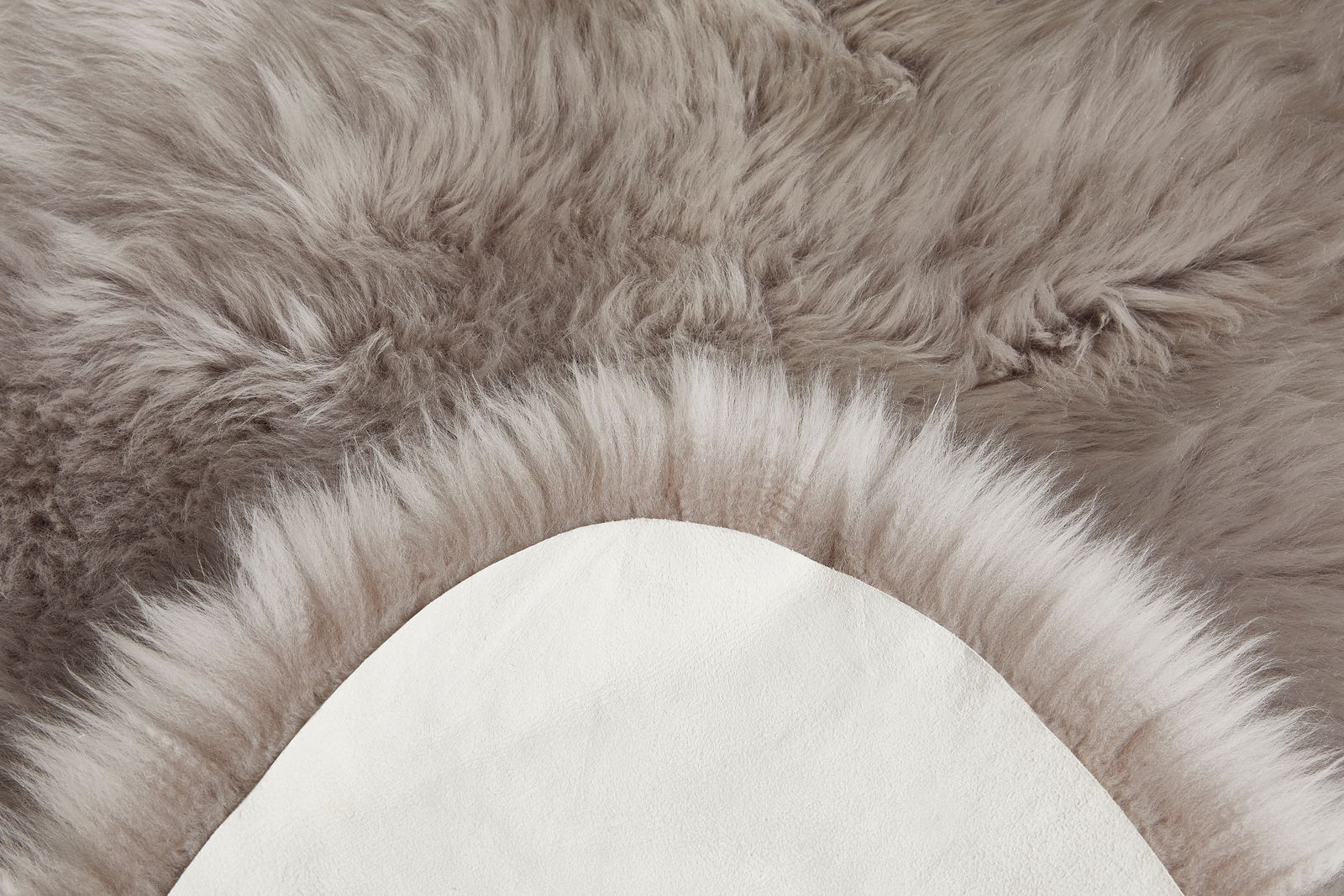 Nahaufnahme eines weichen, grauen Schaffells mit sichtbarer Rückseite, von oben betrachtet.
