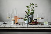 Ein stilvoll gedeckter Tisch mit verschiedenen Weingläsern, gefüllt mit Weißwein, Rosé und Rotwein, umgeben von frischen Beeren, Nüssen und dekorativen Pflanzen. Die Perspektive zeigt die Gläser von der Seite.