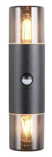 Moderne Wandleuchte HOOSIC mit zylindrischem Design, schwarzem Gehäuse und zwei sichtbaren Glühbirnen, frontal abgebildet.