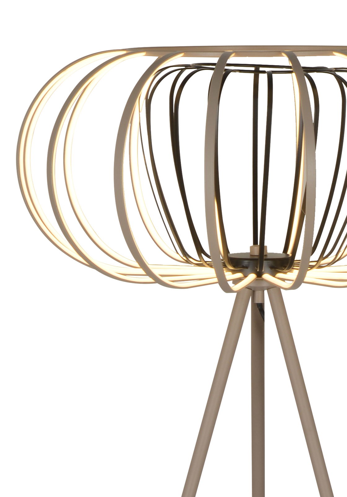 Moderne Stehleuchte mit einem offenen, runden Lampenschirm aus Metallstreben, seitliche Perspektive