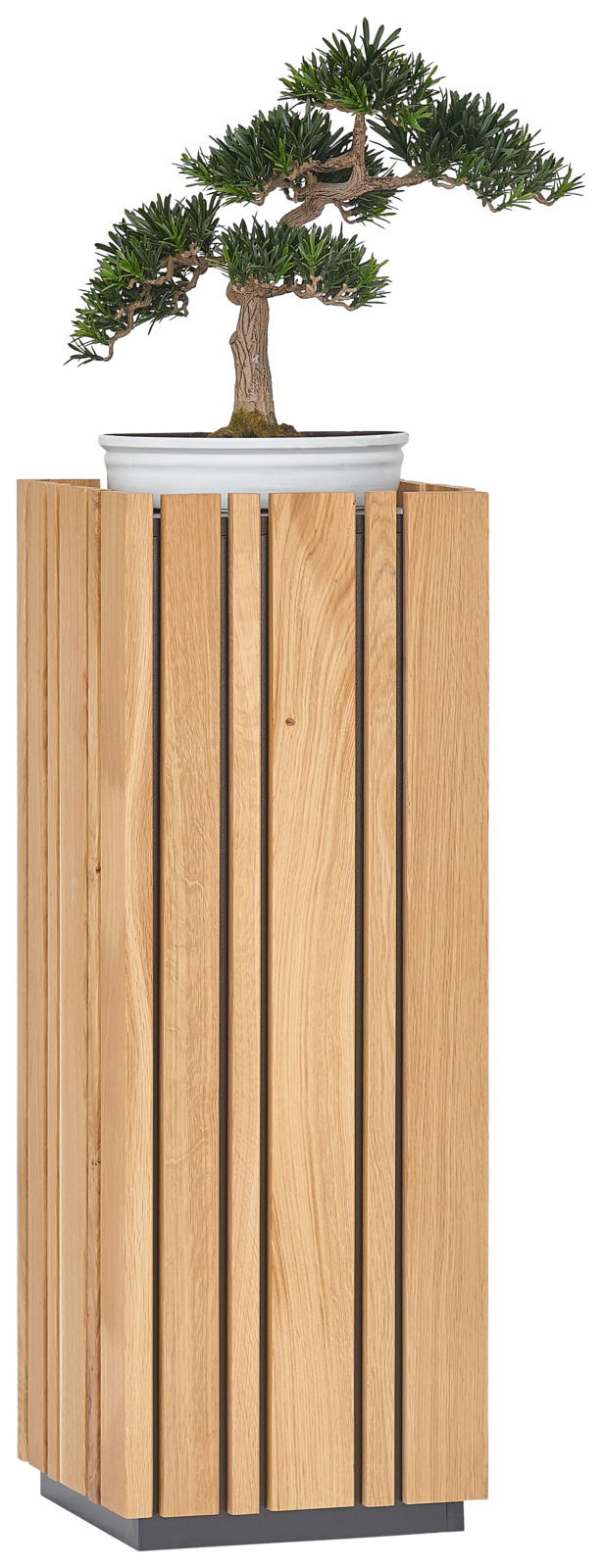 Moderner Beistelltisch aus Holz mit vertikalen Lamellen, darauf steht ein Bonsai-Baum in einer weißen Schale. Frontalansicht.