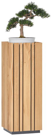 Moderner Beistelltisch aus Holz mit vertikalen Lamellen, darauf steht ein Bonsai-Baum in einer weißen Schale. Frontalansicht.