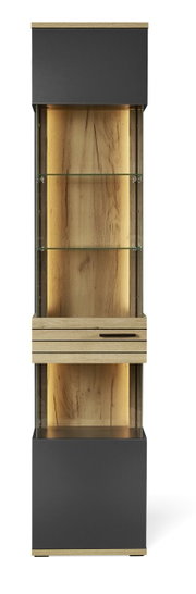 Moderne Vitrine mit Holz- und Glaselementen, frontal betrachtet