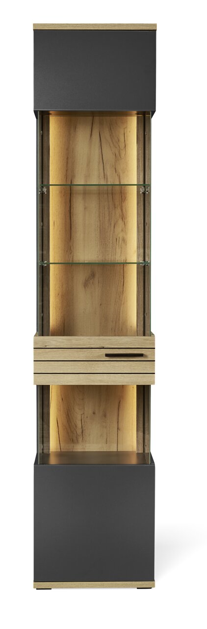 Moderne vitrinekast met houten en glazen elementen, gezien vanaf de voorkant