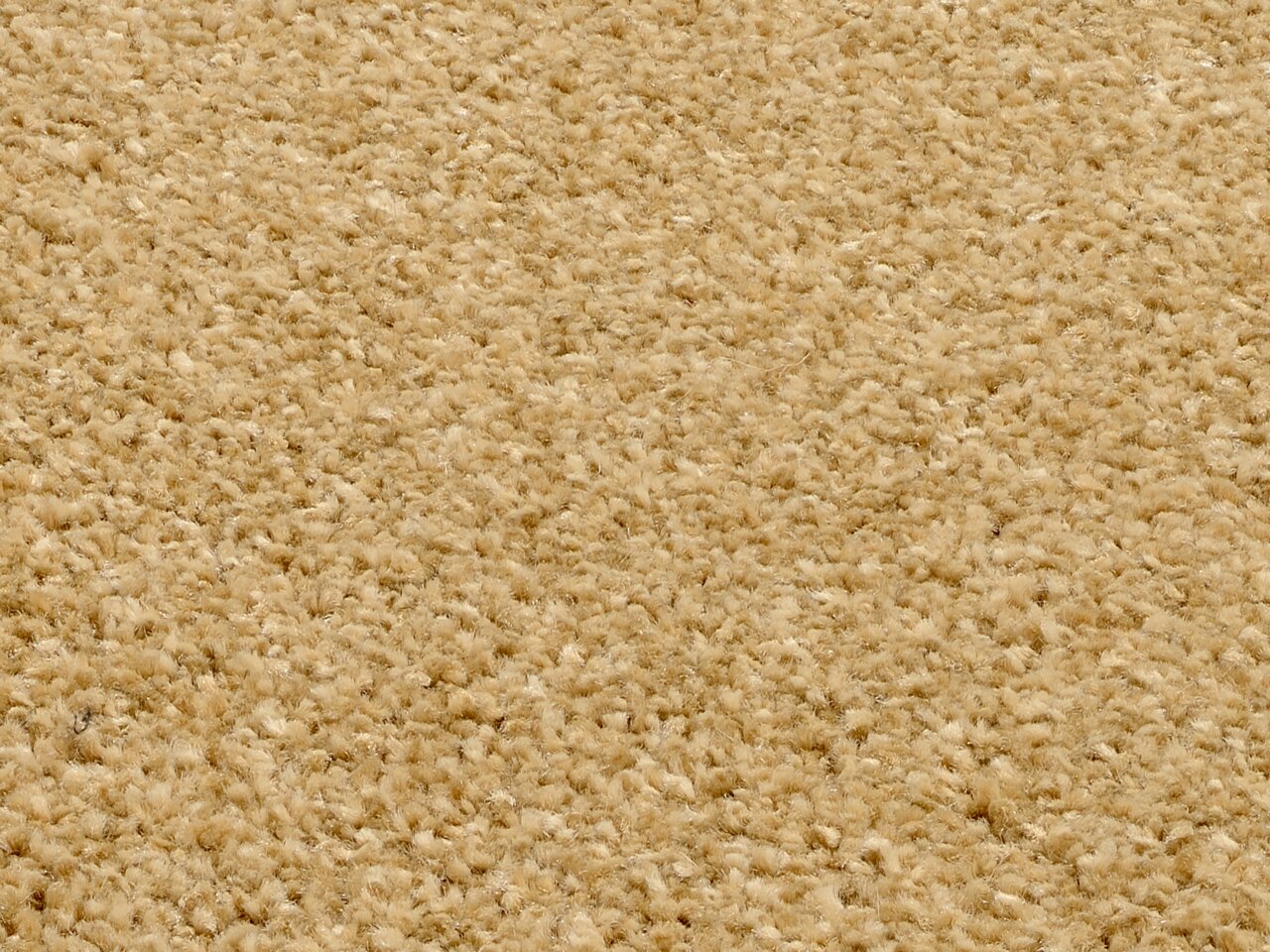 Nahaufnahme eines beigen Uni-Teppichs mit flauschiger Textur, von oben betrachtet.