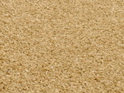 Nahaufnahme eines beigen Uni-Teppichs mit flauschiger Textur, von oben betrachtet.