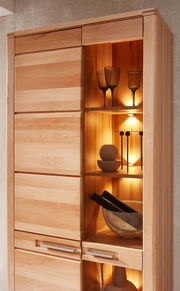 Holzvitrine mit Glaseinsatz und Beleuchtung, seitliche Perspektive