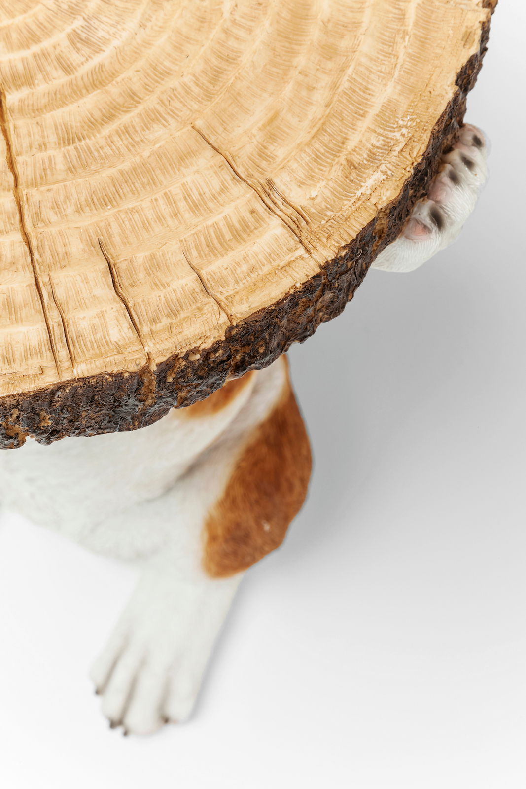 Beistelltisch mit einer Tischplatte aus Holz in Form eines Baumstamms, getragen von einer Hundeskulptur. Perspektive von oben.