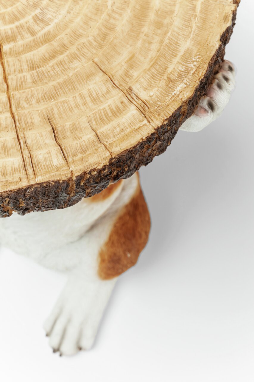 Bijzettafel met een houten blad in de vorm van een boomstam, gedragen door een hondensculptuur. Aanzicht van bovenaf.