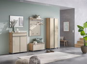 Moderner Schuhschrank in einem stilvollen Flur, frontal betrachtet, mit Holz- und Hochglanzoberflächen.