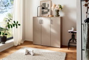 Moderner Schuhschrank in einem hellen Raum, frontal fotografiert, mit Dekorationen wie einer Lampe und Blumen auf der Oberseite.