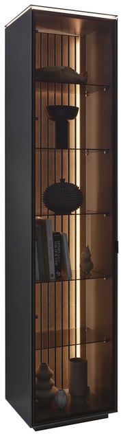 Moderne Vitrine mit Glasregalen und integrierter Beleuchtung, seitliche Perspektive