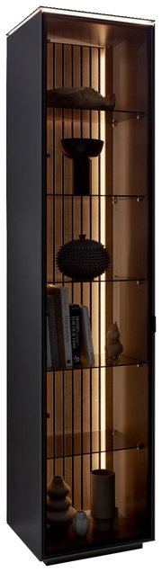 Moderne Vitrine mit Glasregalen und integrierter Beleuchtung, seitliche Perspektive