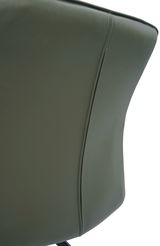 Rückansicht eines grünen Armlehnstuhls mit glatter Lederoberfläche