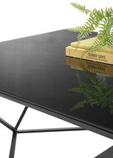 Moderner Couchtisch mit schwarzer Glasplatte, dekoriert mit Büchern und einem Farn, seitliche Perspektive